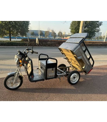 E-Mobil Rhino, 25/45 km/h, 72V/20 Ah Blei-Gel-Akku – Bild 2