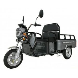 E-Mobil Rhino, 25/45 km/h, 72V/20 Ah Blei-Gel-Akku