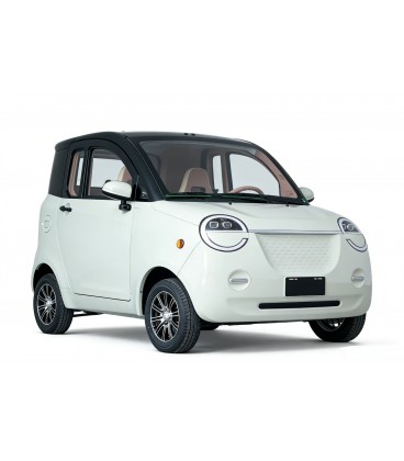 Mopedauto Dora Li, 45 km/h, bis zu 100 km Reichweite, 60V/100Ah LFP Lithium-Akku – Bild 5